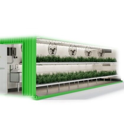 hydroponic garden
